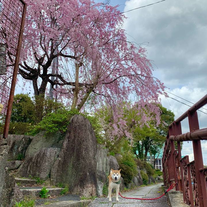 Dd6c096e 2210 409e b96f 693cf0b6c75b 1650357753027