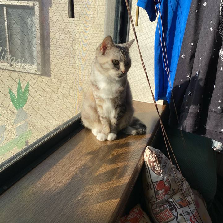 Dd6c3838 5162 48aa af8c 81d14db808f5 1636846737164