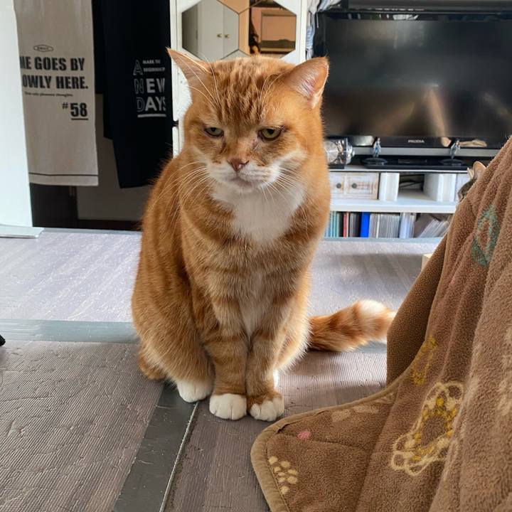 Dd6c4b5a 1349 4cee 995d cdf241d54a50 1674351031269