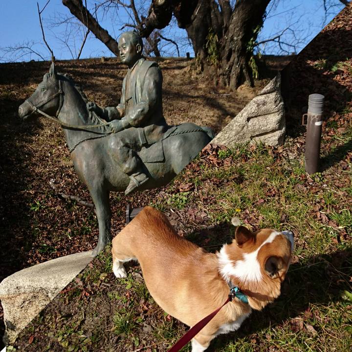 Dd6c641e 430e 4cd4 a6fc 1147dec2d80a 1610695860270