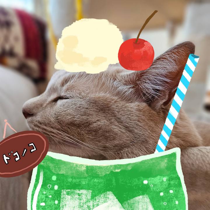 Dd6c6461 c436 42e7 9734 9159a9780e84 1755317337854