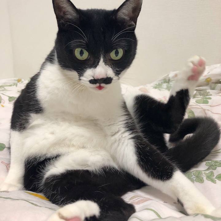 Dd6c6aa5 d343 47b1 8448 6d8bde8a8615 1574174528678