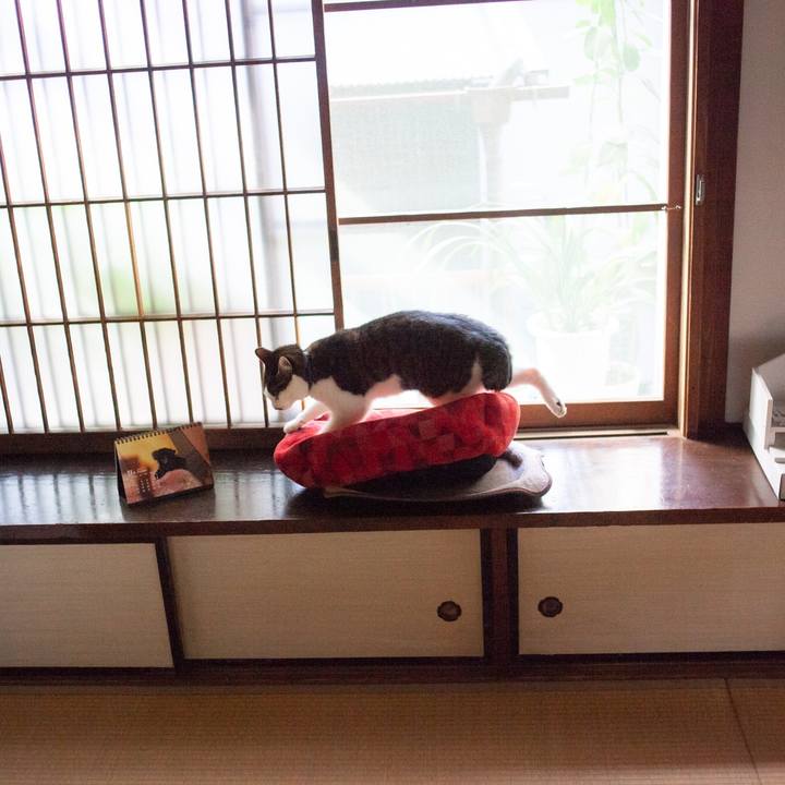 Dd6cbcd1 9306 45b0 962d a4348b4a5ee6 1572961684590