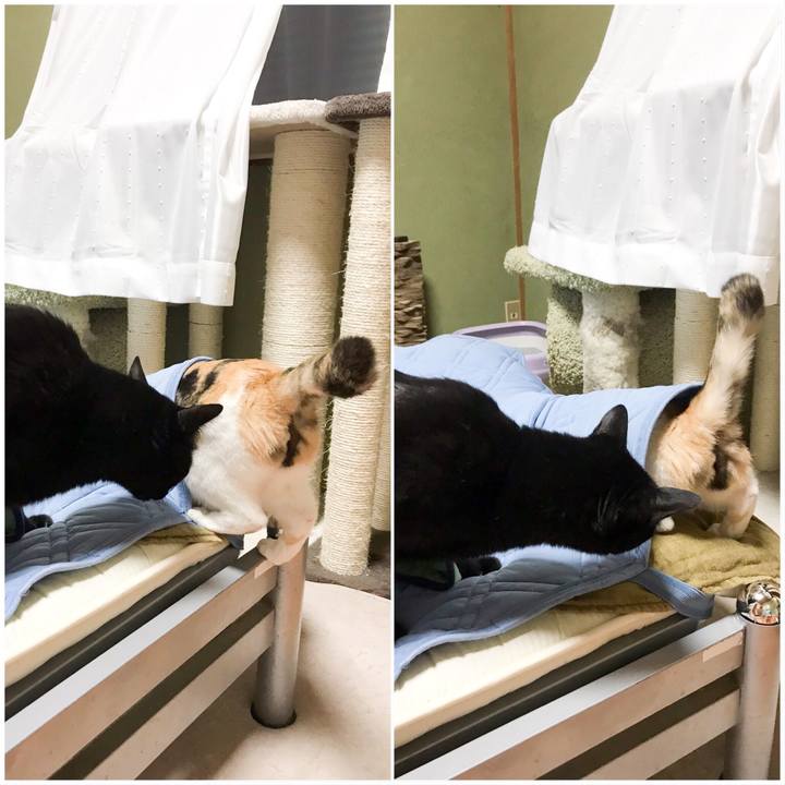 Dd6cbeb8 07d3 4ca0 aa93 32b3294eb6f8 1529937664430