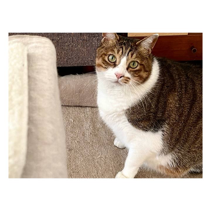 Dd6d06d3 c518 401e 879e 477d7ffd2f06 1671609315757