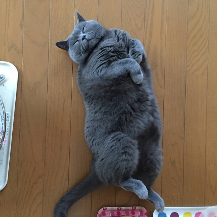 Dd6d10bf da54 44b2 843d 5e31a7de4733 1517785558025