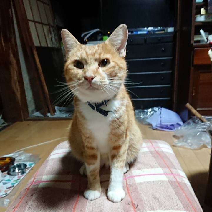 Dd6d16ed 7186 49c4 a59c d8dc91c1f9ec 1601153373659