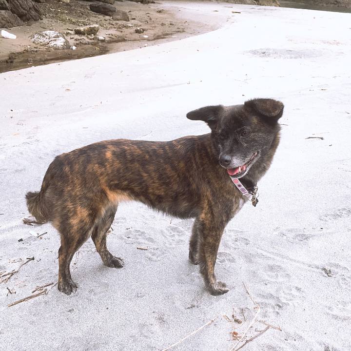 Dd6d3d46 9ebc 4965 8d9d 973e79abc6e3 1529797937515