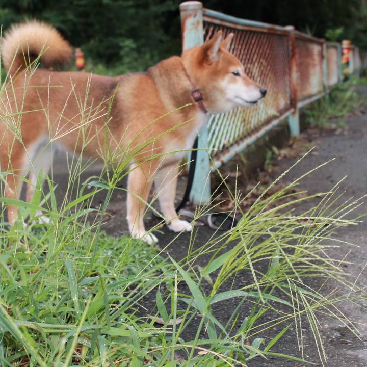 Dd6d3da3 d812 406e a45b ba2ed35e621c 1535877124907