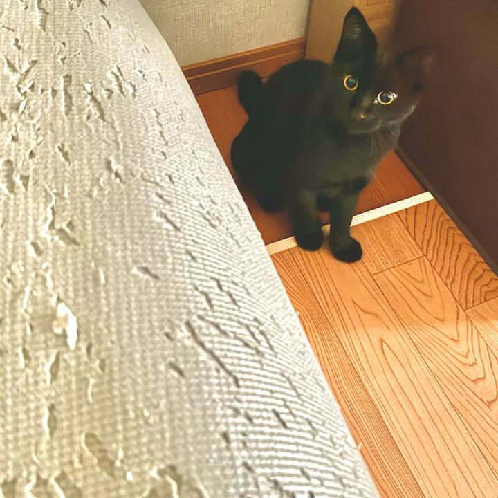 Dd6dbe27 3cb4 45f9 bba0 9788b7568125 1731651812105