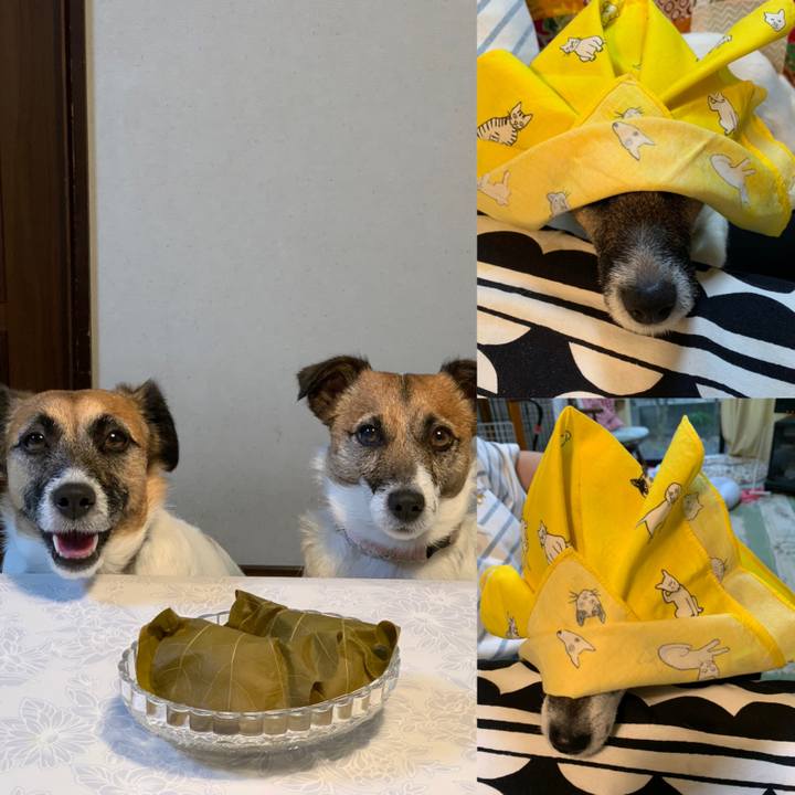 Dd6dcc50 c262 4564 91b4 ab1cd3e1042c 1588667818236