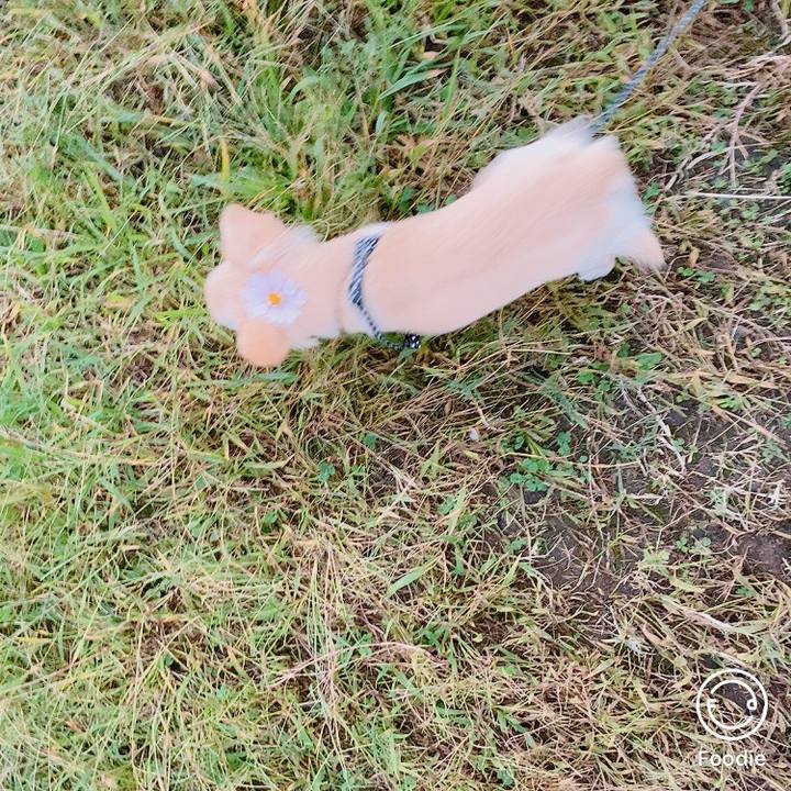 Dd6dcf1d ea86 4ba4 a152 a2a5886fc94d 1602495885930