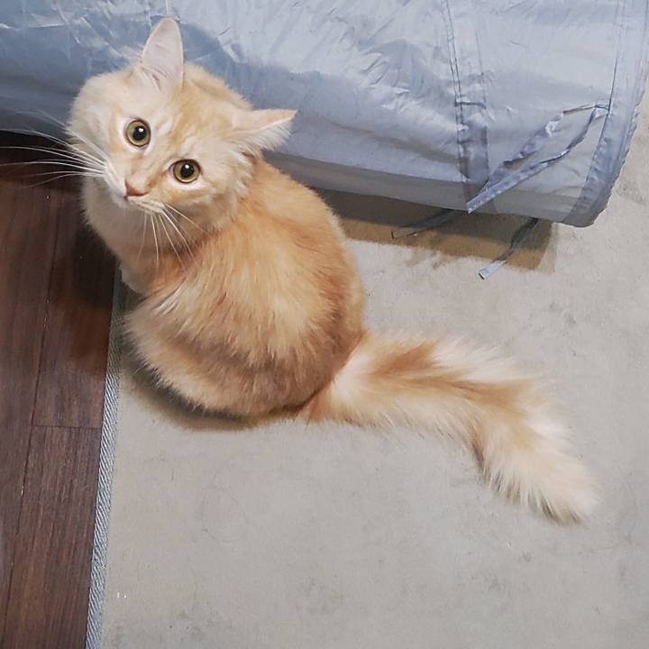 Dd6dcfa1 d805 46f2 89b5 41ca4842ef82 1696371440006