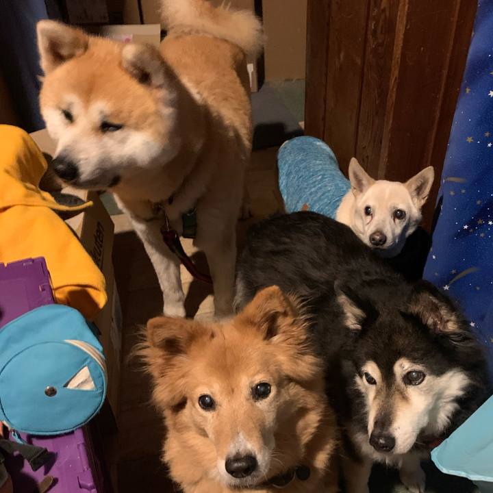 Dd6dfe21 ca4c 4994 af24 7cf398c6e4a8 1709374488364