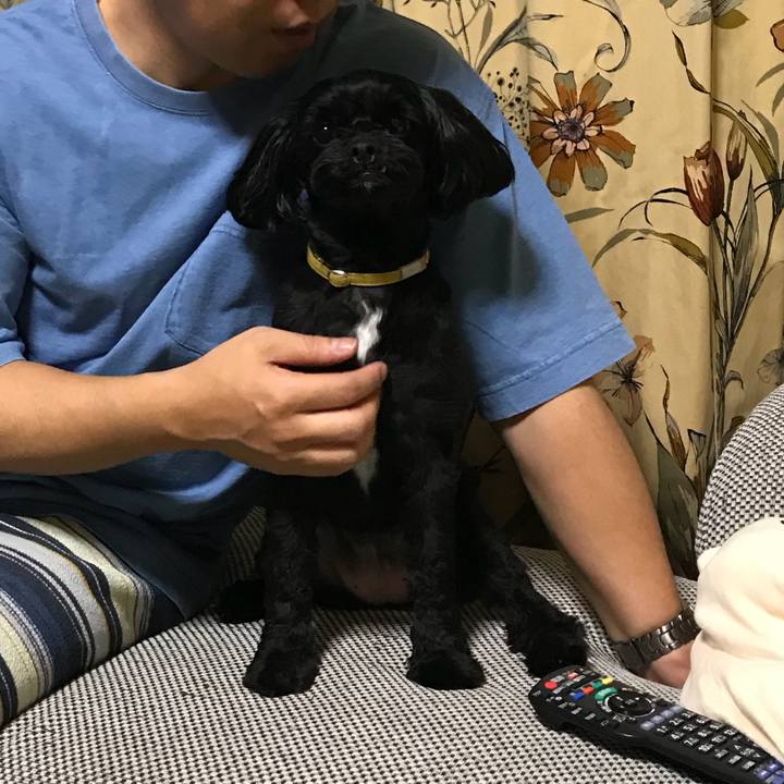 Dd6e0035 66d5 4369 bad6 c1be74656746 1528725872514