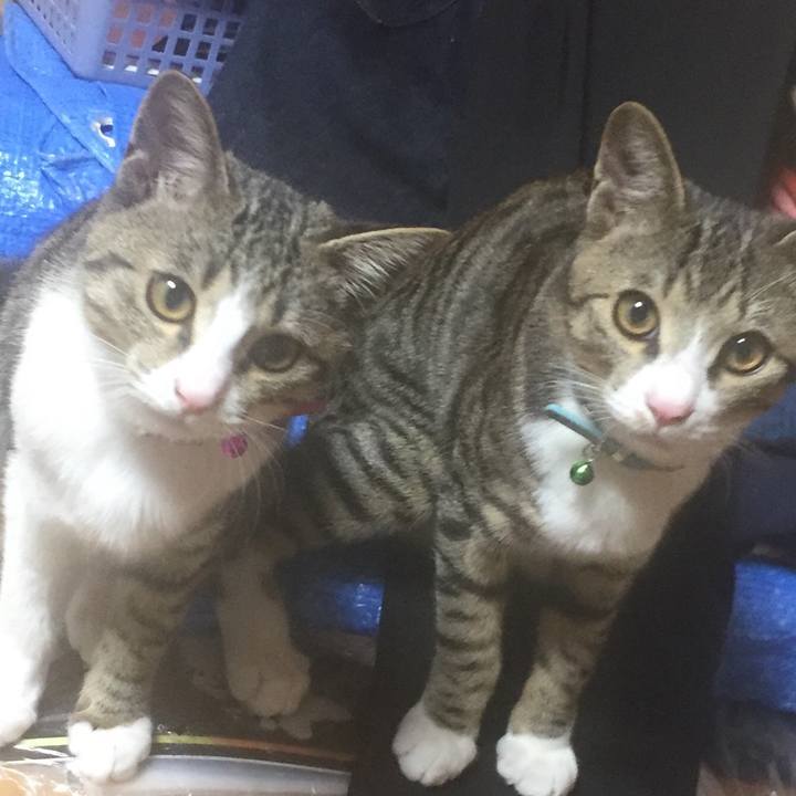 Dd6e1bba 7608 46fa 9fe1 5fa98f993832 1658442335566