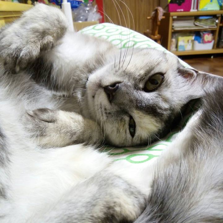 Dd6e3132 04d5 4553 ab30 01ae29a1144e 1536929513567