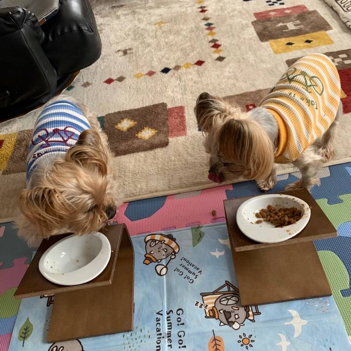 Dd6e489a 762c 4352 ba66 5714c293d584 1647682512401