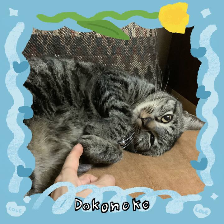 Dd6e502a c06a 484f 8550 d88b6171ed60 1772113302829