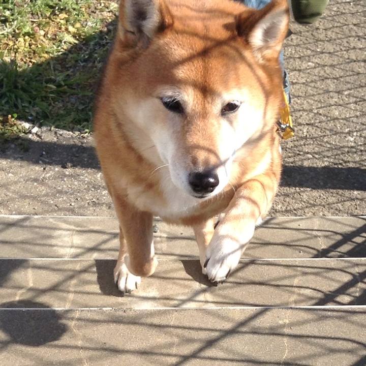 Dd6e6060 dfba 4641 bb19 d0b764b868d8 1547958028124