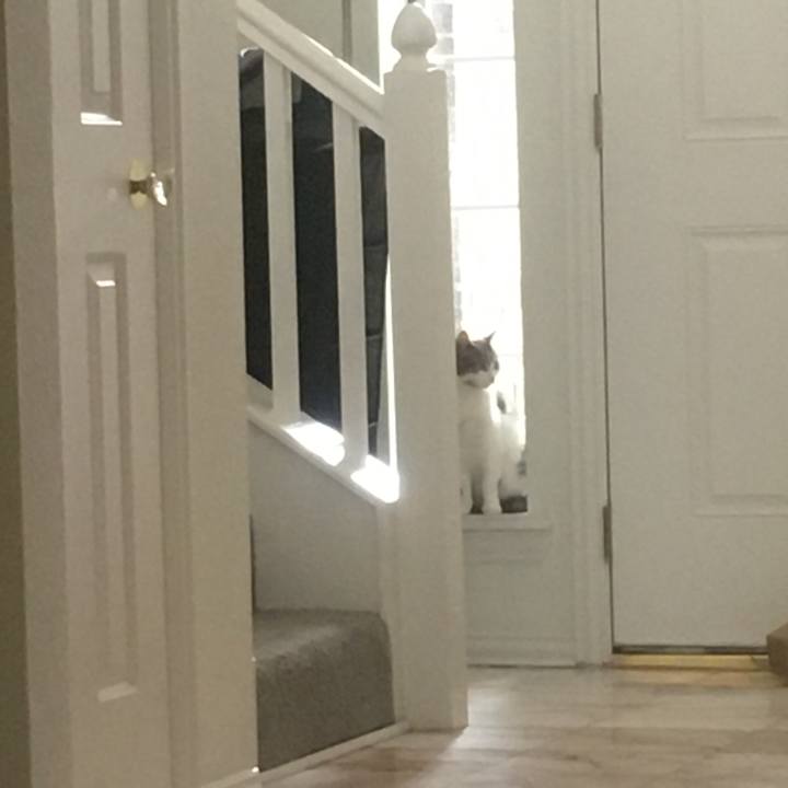 Dd6e97c3 de8d 4a9f a0b1 31bc3870d886 1653183062561