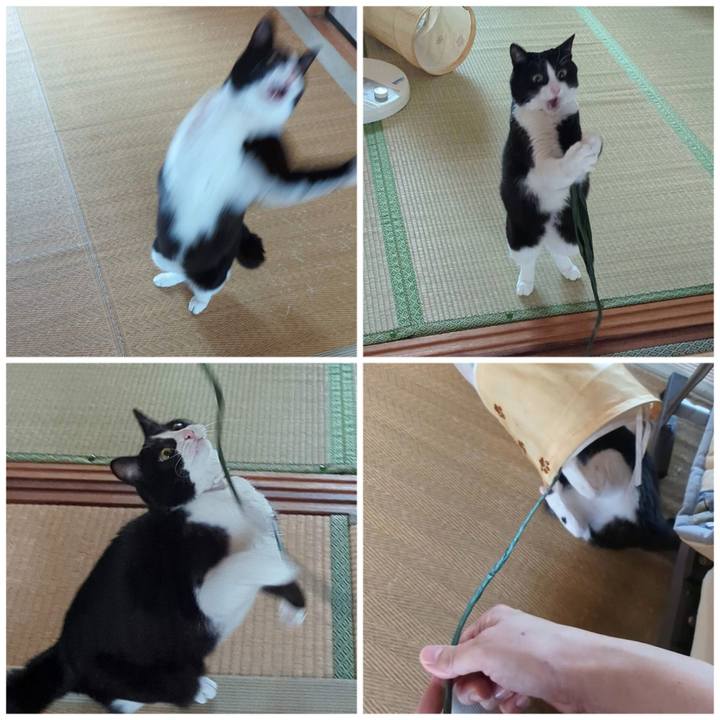 Dd6eac08 7f5e 461e a50e c2d0a53f7a27 1696218342258