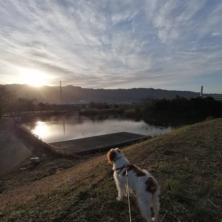 Dd6ebc74 c523 4b04 b708 221aa1bda947 1583195967461