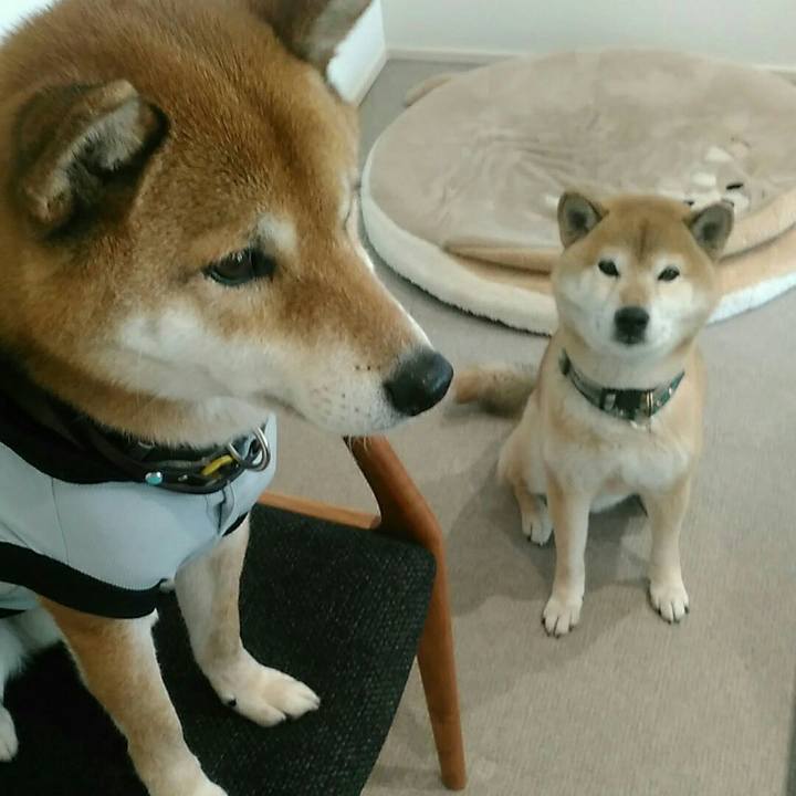 Dd6ed01e 0746 4fff a309 e6a05efed7f5 1579851114639