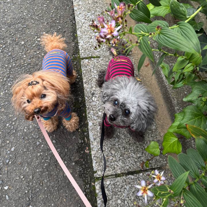 Dd6f0598 a519 47fd a888 dcf1dbaf02b1 1761779520720