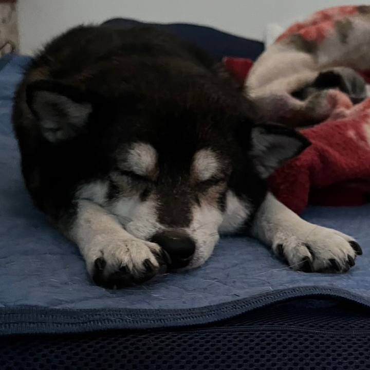 Dd6f24bc acbe 4895 a277 3de8b497f591 1669191368718