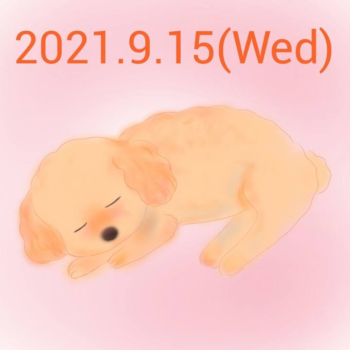 Dd6f4e91 c1f2 4a0c 8818 4606bd104300 1631708904863