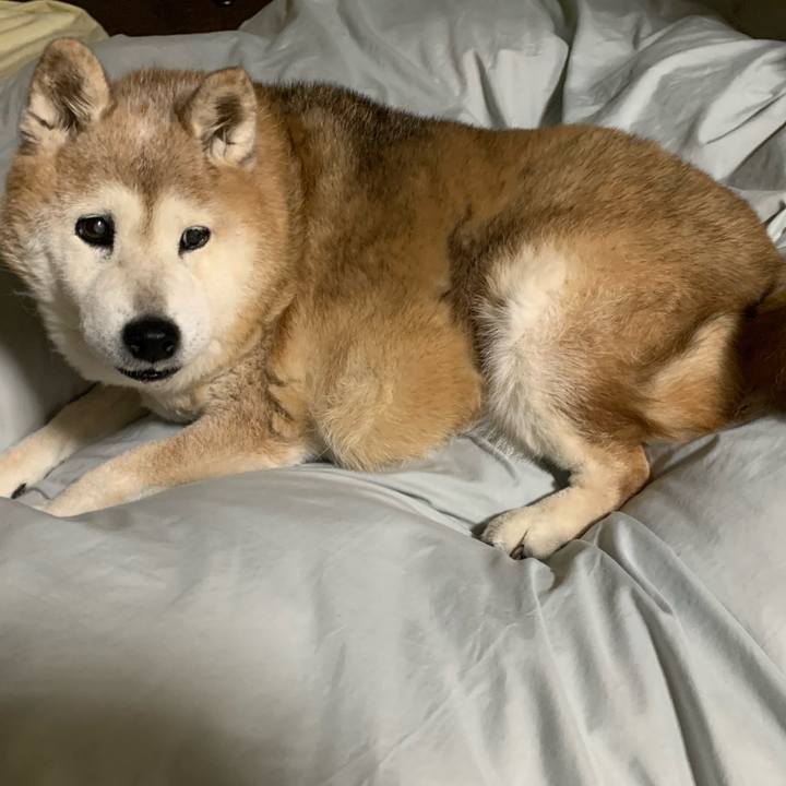 Dd6f535f 3ba6 4264 9af5 ad99055c581a 1672501249272