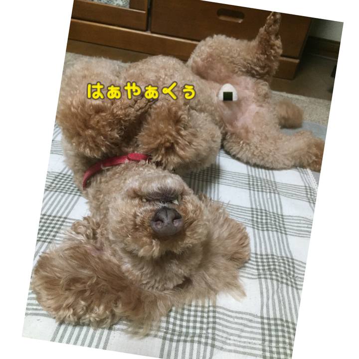 Dd6f7a8c 9934 4de5 a33a 2bbc35fdddf2 1528800047407