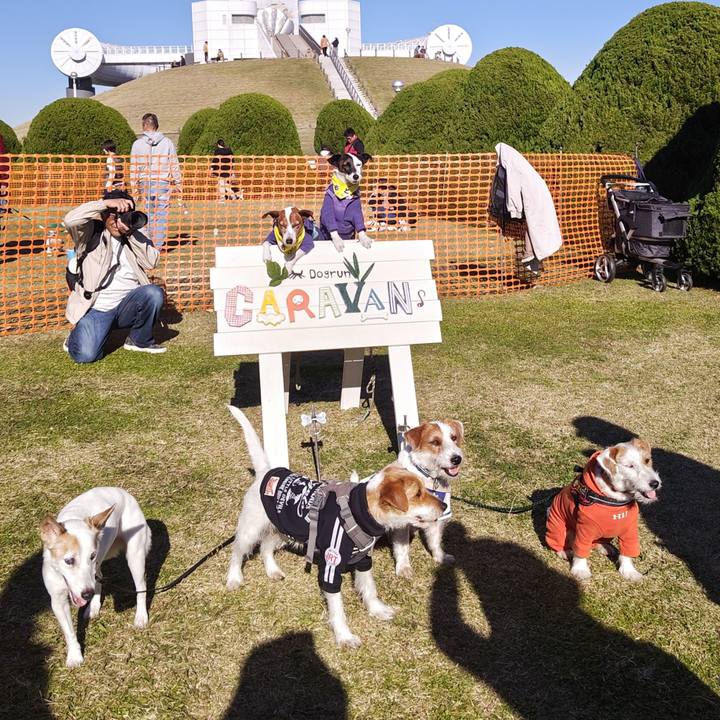 Dd6fab8a 6eb0 4fca 8ef8 6af4a1fef6cd 1733051279231