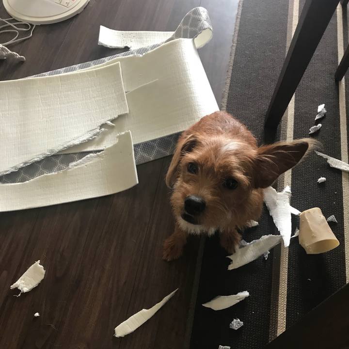 Dd6fb8f0 aede 440b 864b 9fa3b4fdb3fa 1534650707012