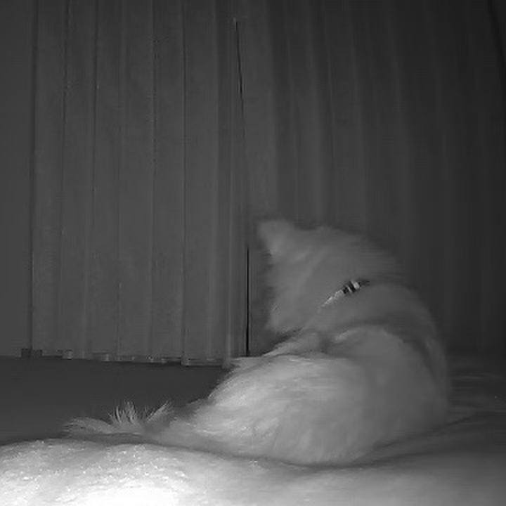 Dd6fbb5b 0995 43a2 910c e3939a6400f4 1646837077253