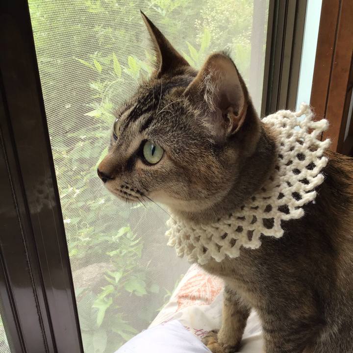 Dd6fbe10 a404 4bd9 9d25 9298517d2925 1590902262608