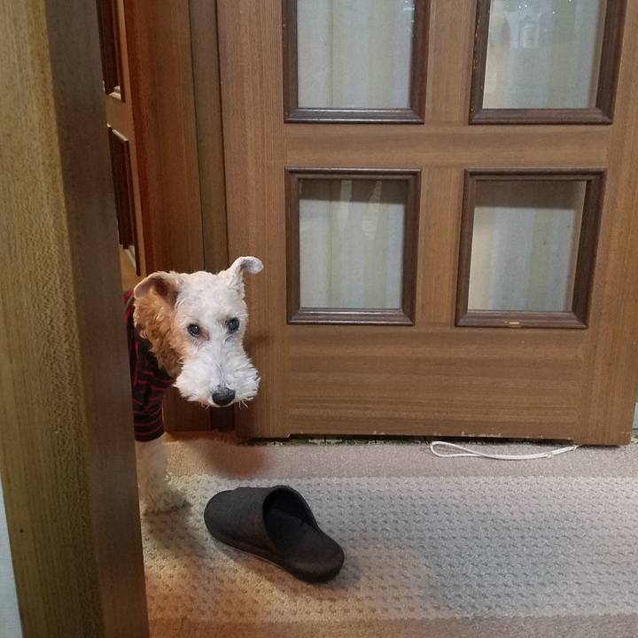 Dd6fc270 bf35 47e3 a10a 345c2089e0fc 1545745396527