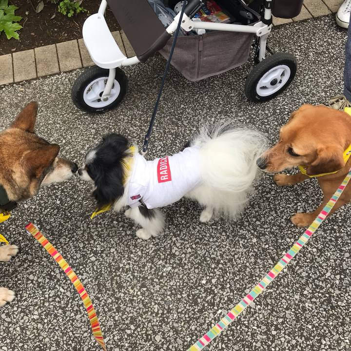 Dd6fdb45 bd68 4d81 a928 24ad7b58c62f 1559973696364