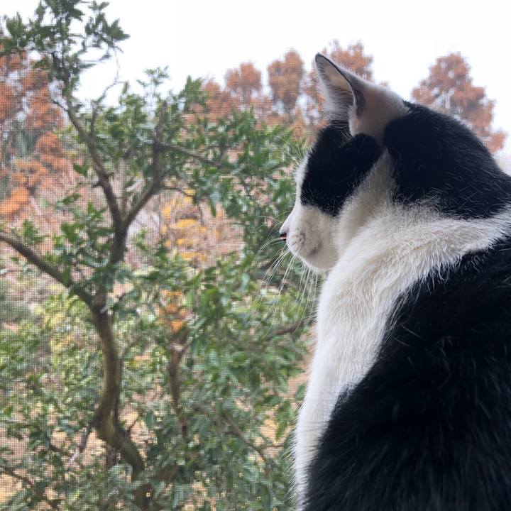 Dd6fde71 ca74 4456 8d7c 525a61ebbde0 1549504640323