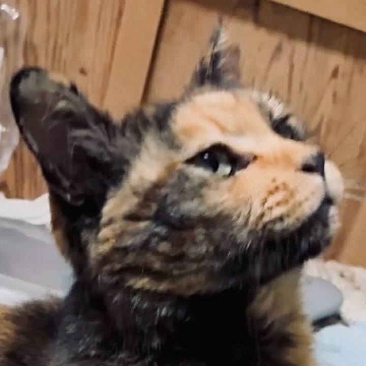 Dd6fdf38 9438 46e2 b938 3277fd6b5848 1748079193882