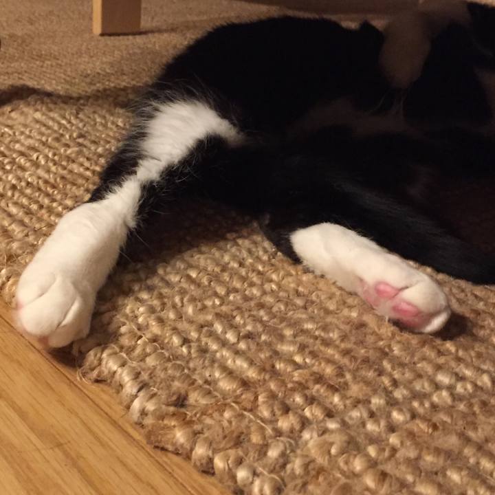 Dd6fdfd3 d728 4658 8e2c c83205b65fdb 1515635473210