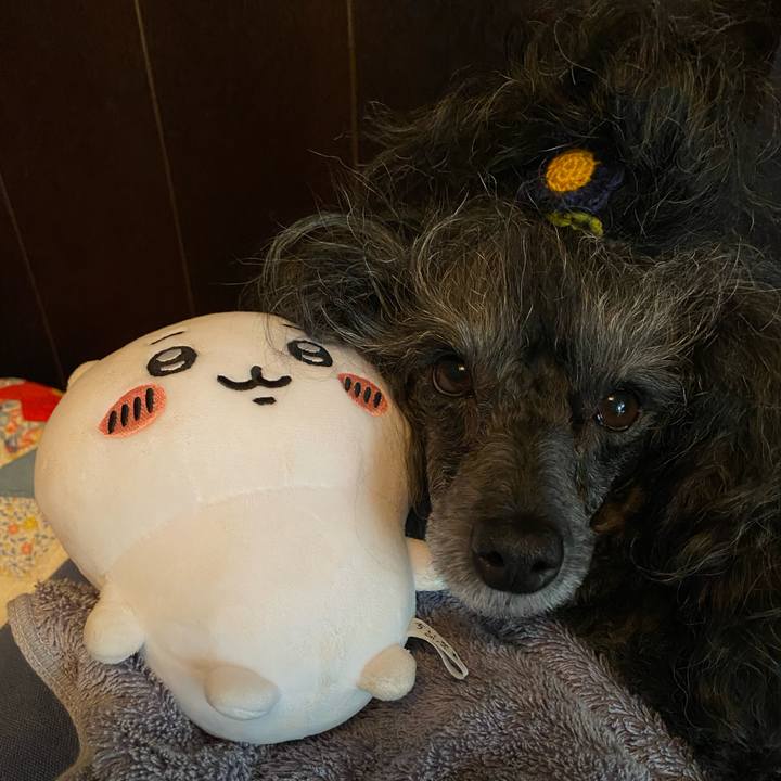 Dd6ffc83 6be4 46fb 97a6 b244db136237 1726378793227