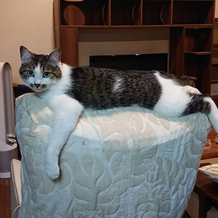 Dd7061c7 9f10 4a0c bf57 04a52f6fc1b9 1623537260279