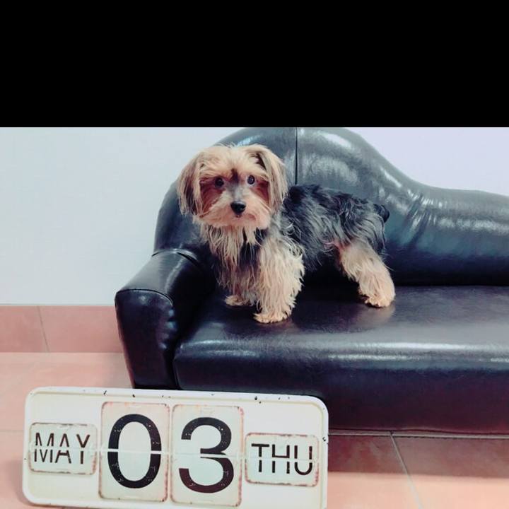 Dd7072f7 6331 4c5c 9f74 3ac8b13eca92 1525299055610