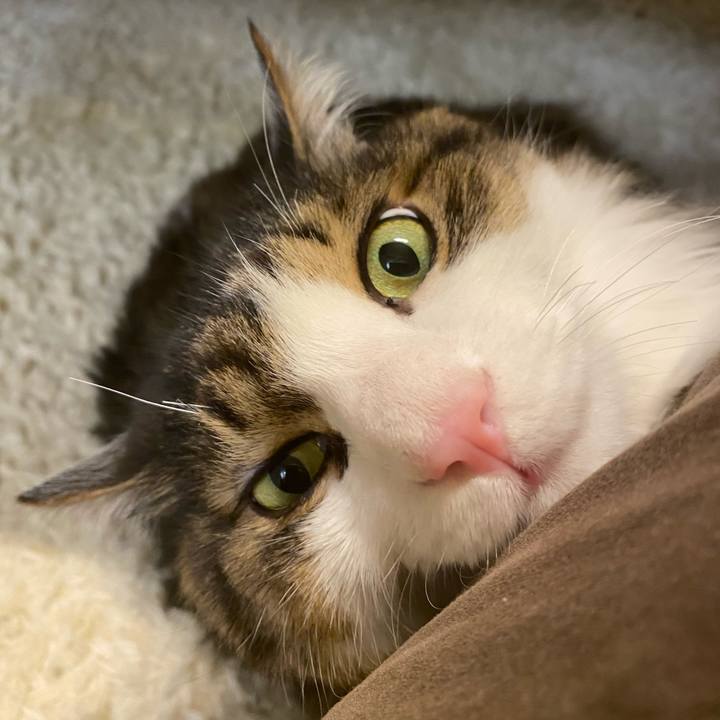 Dd7076ca 71bb 4529 b21a 798b8889d63b 1690333365319