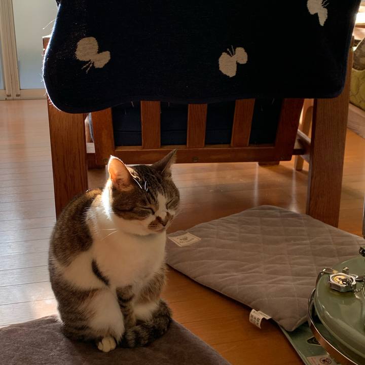 Dd7099c1 faa3 46e2 91c9 5a36992b0d6b 1644027429116