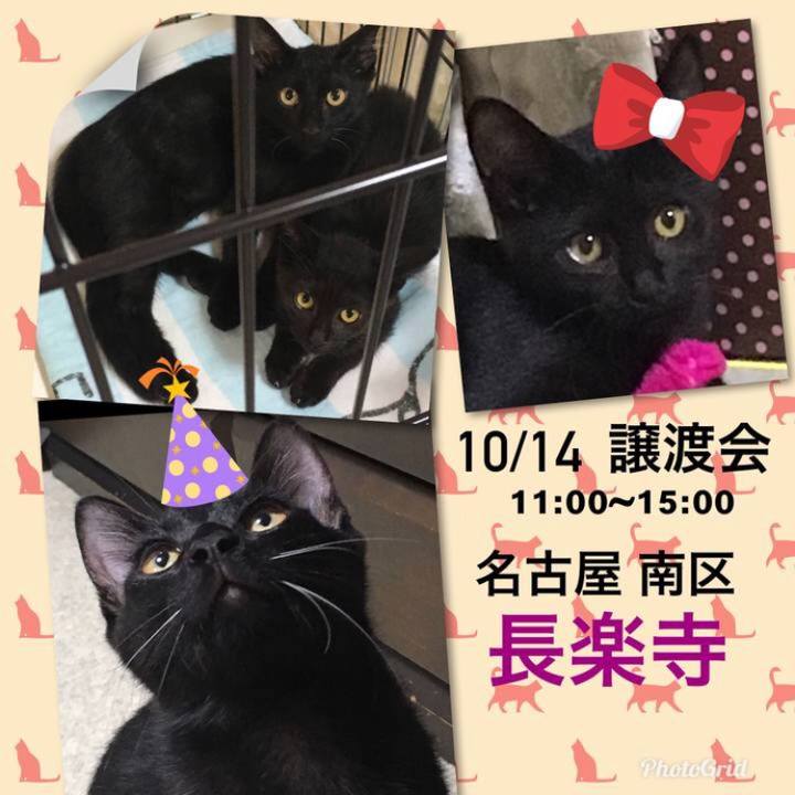 Dd70fd61 bbee 41e1 bff4 c577dab83e78 1539079122463