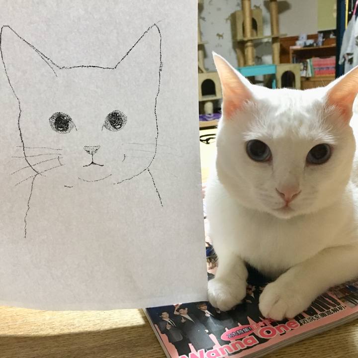 Dd713eef 173a 4acf 91bc c4e392ef9d66 1534778338518