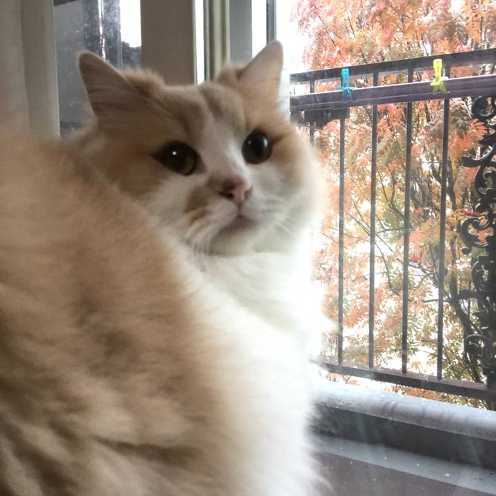 Dd719142 aed2 4b18 8b43 9bc6838bf0e1 1508720008966